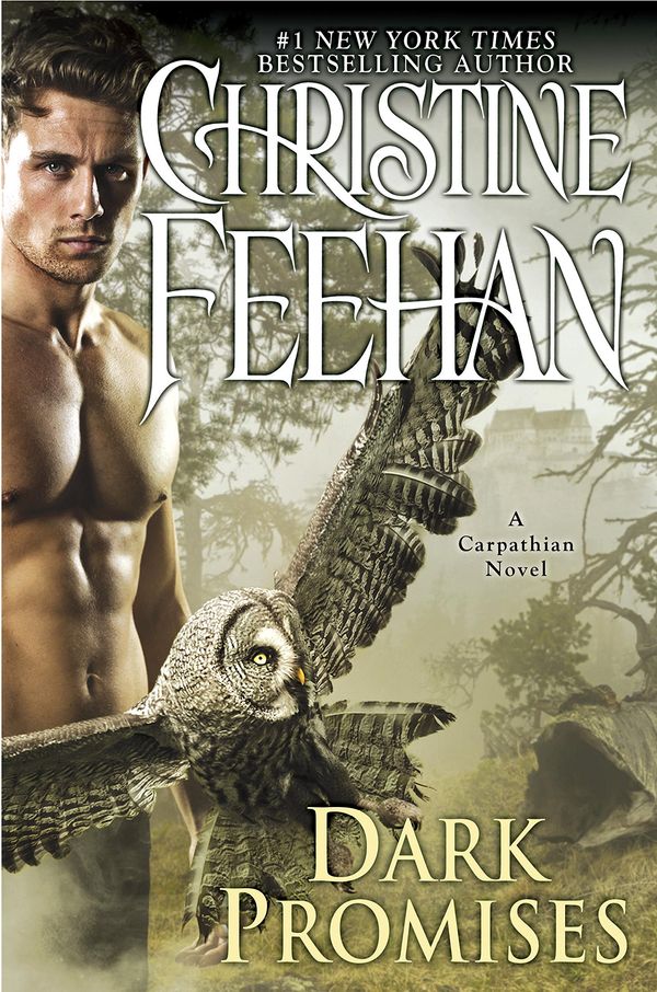 Dark Promises Book Cover