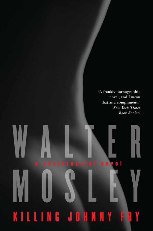 Killing Johnny Fry Book Cover