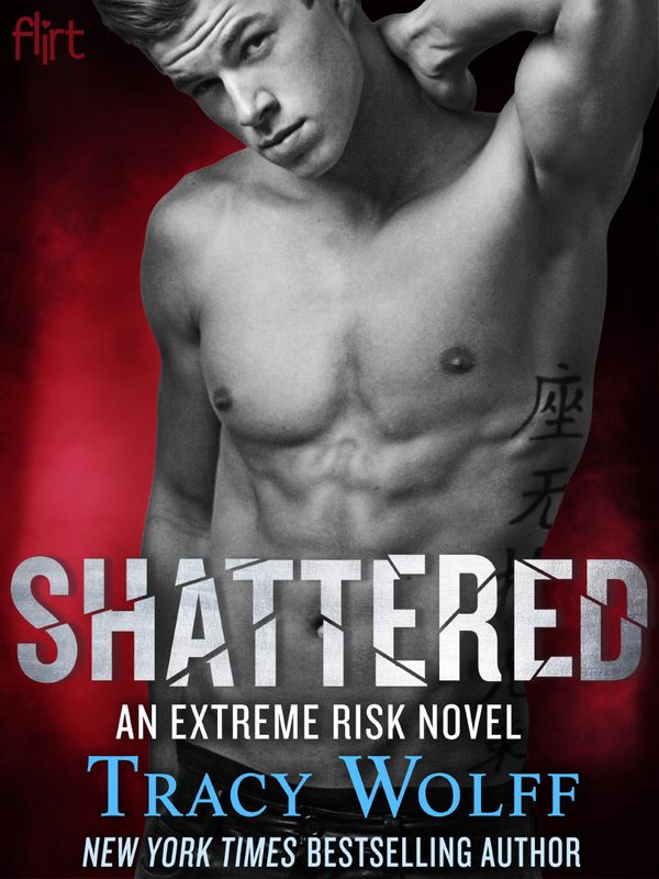 Shattered Book Cover