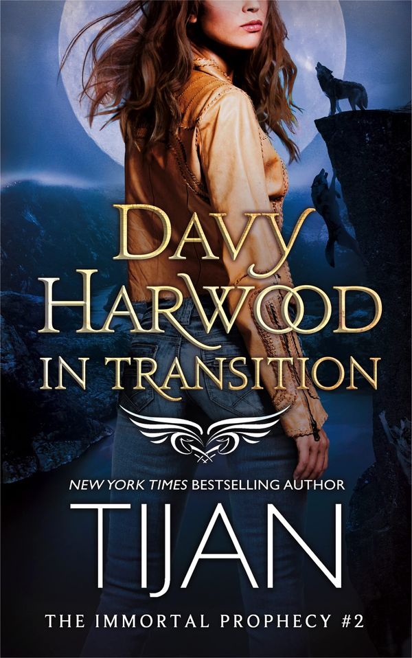 Davy Harwood in Transition cover