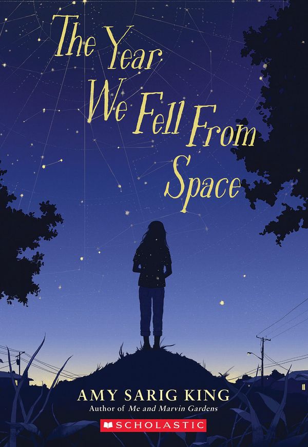The Year We Fell From Space Book Cover