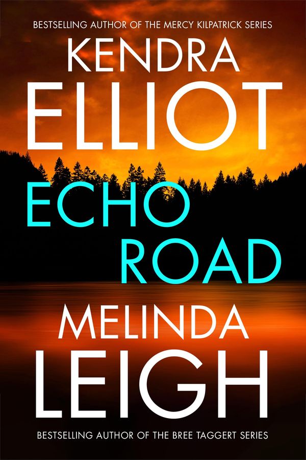 Echo Road Book Cover