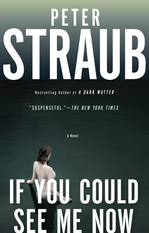 If You Could See Me Now Book Cover