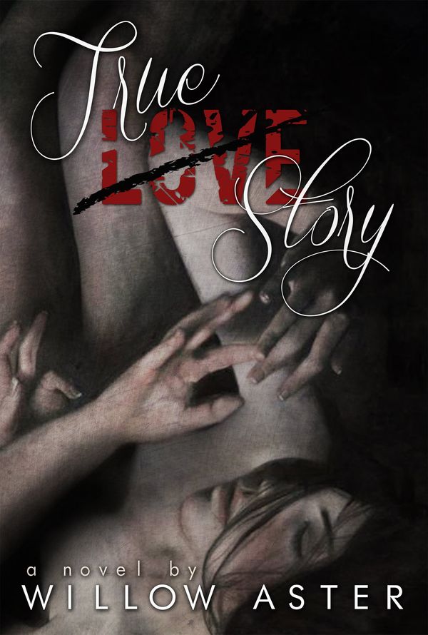 True Love Story Book Cover