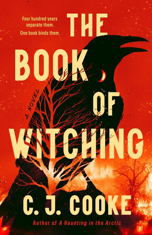 The Book of Witching Book Cover
