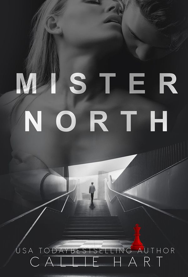 Mister North Book Cover