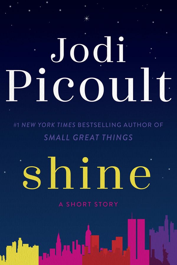 Shine Book Cover