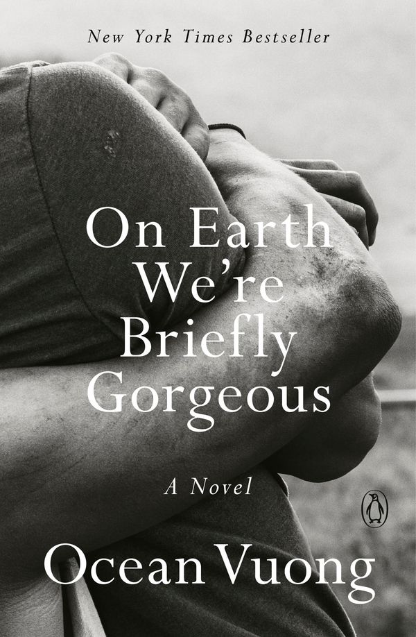 On Earth We're Briefly Gorgeous Book Cover