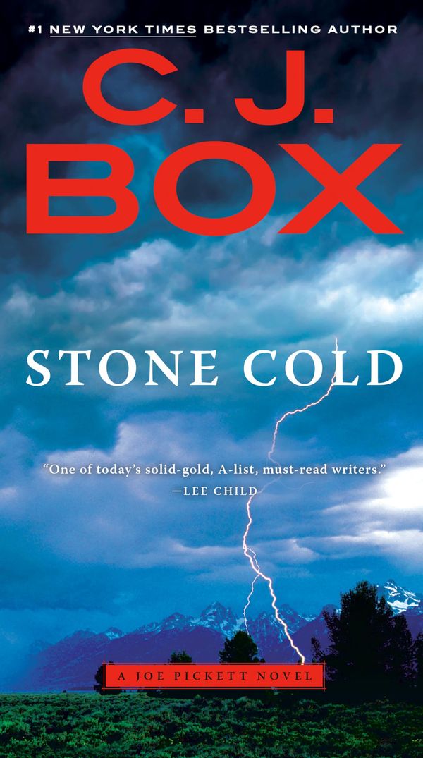 Stone Cold Book Cover