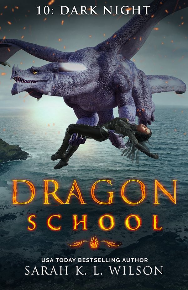 Dark Night Book Cover
