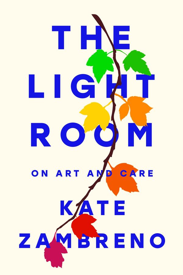 The Light Room Book Cover