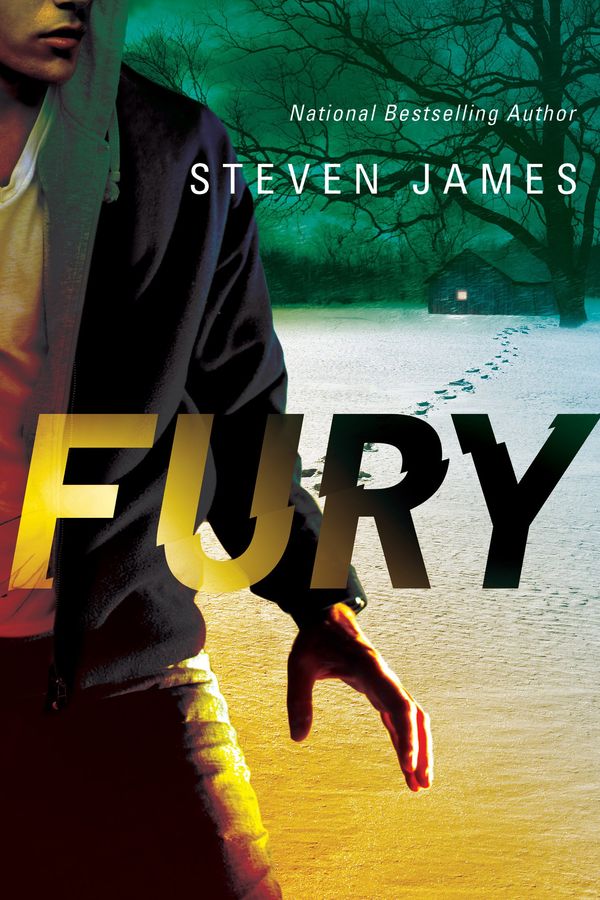 Fury cover