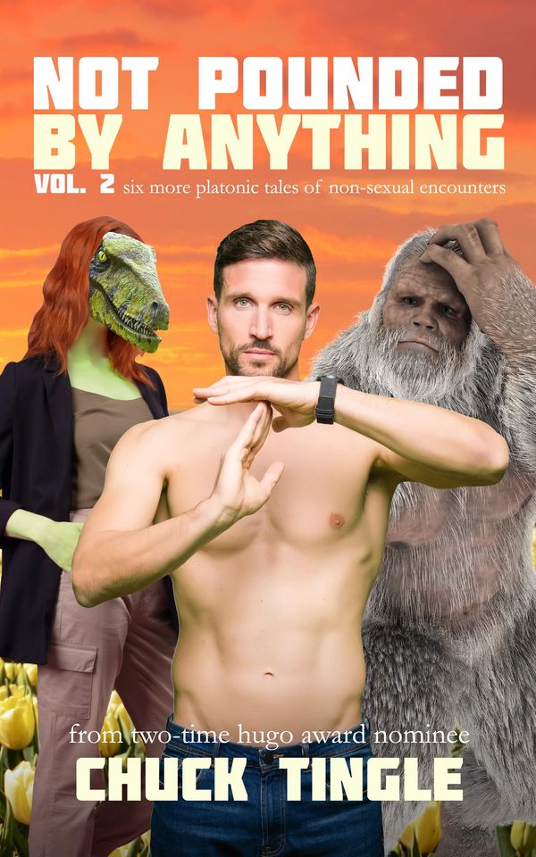Not Pounded By Anything Vol. 2 Book Cover