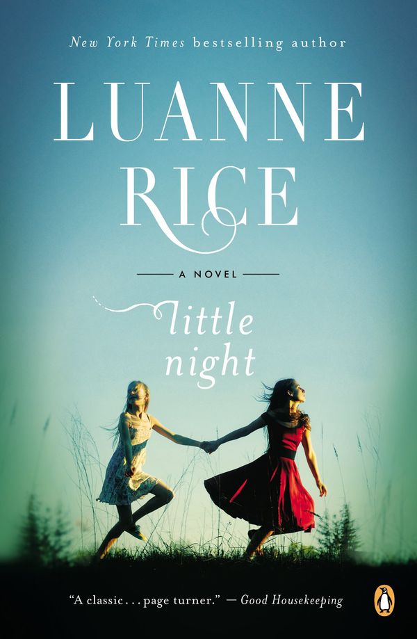 Little Night Book Cover