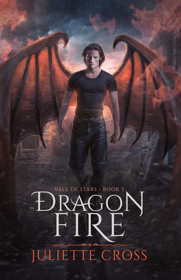 Dragon Fire Book Cover