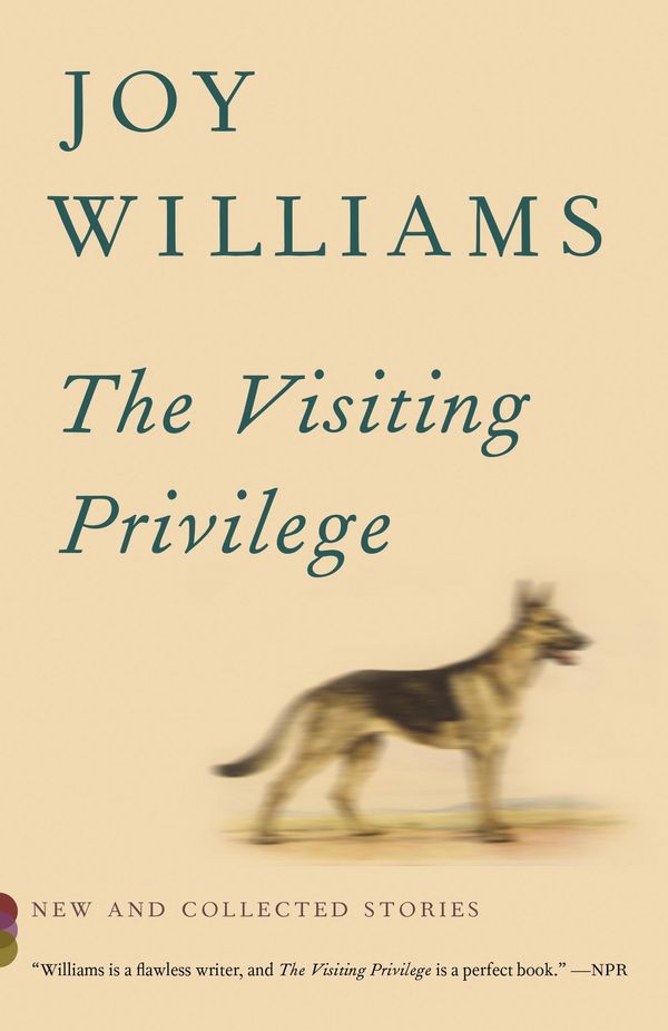 The Visiting Privilege Book Cover