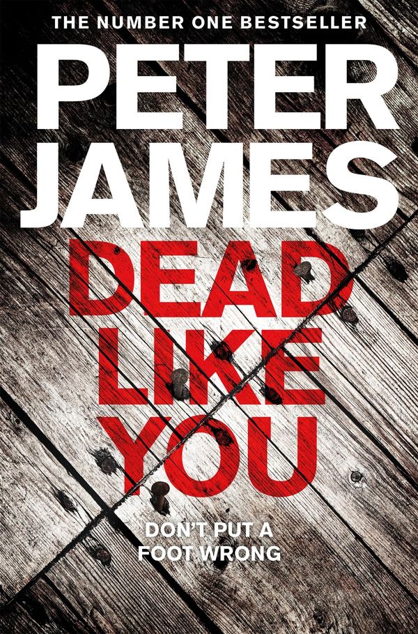 Dead Like You Book Cover