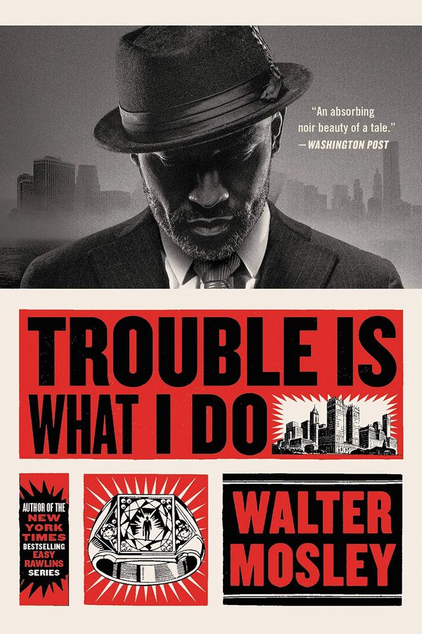 Trouble Is What I Do Book Cover