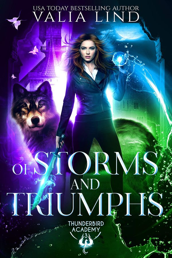 Of Storms and Triumphs cover