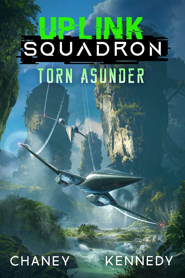 Torn Asunder Book Cover