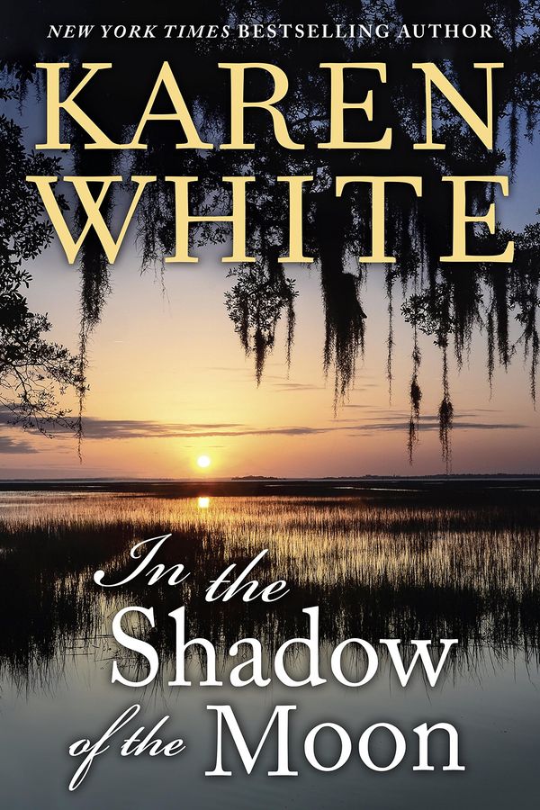 In the Shadow of the Moon Book Cover