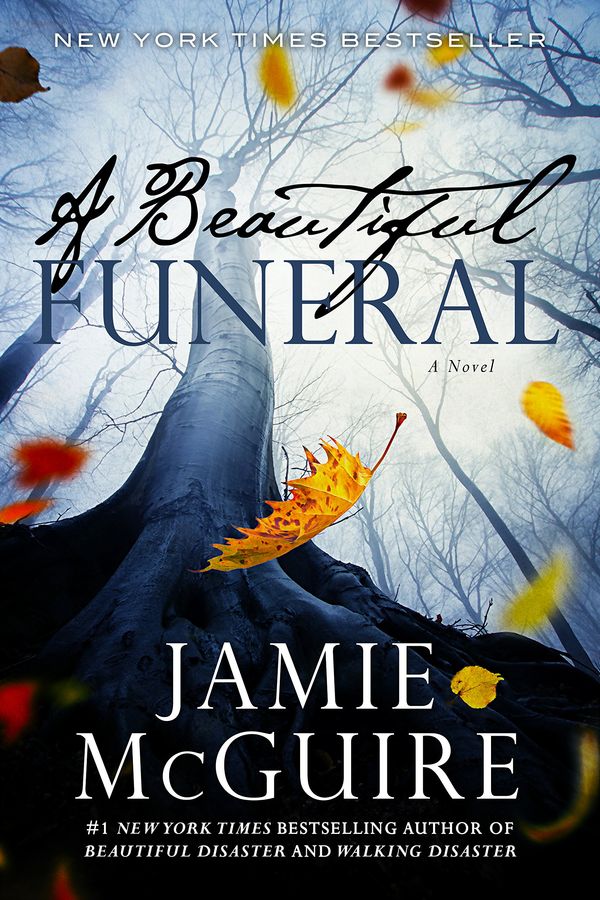 A Beautiful Funeral Book Cover