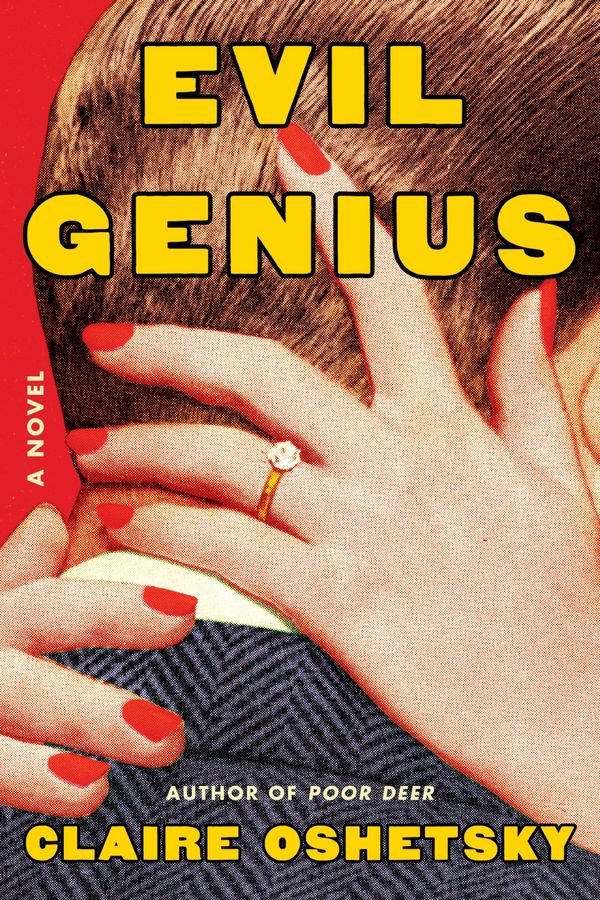 Evil Genius Book Cover