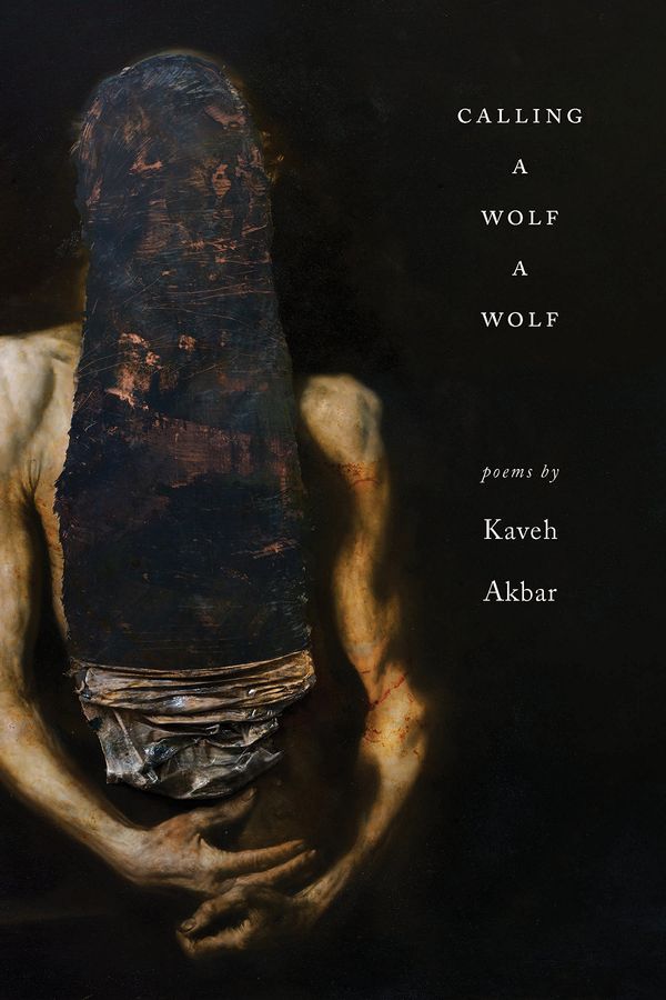Calling a Wolf a Wolf Book Cover