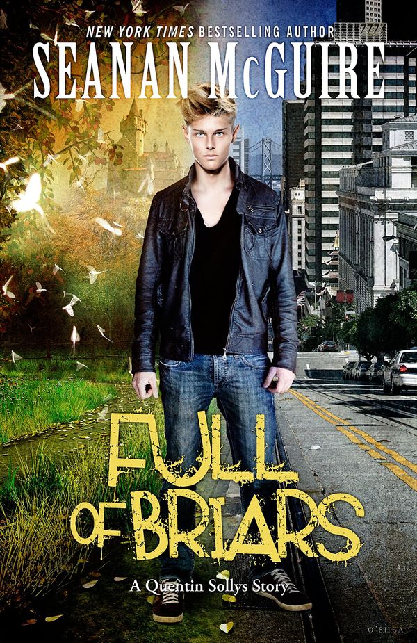 Full of Briars Book Cover