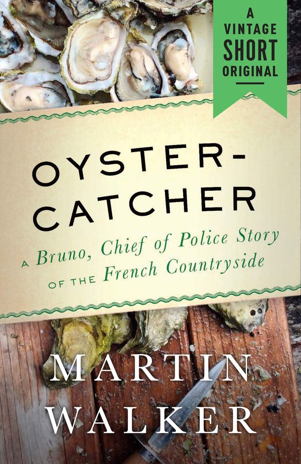 Oystercatcher Book Cover
