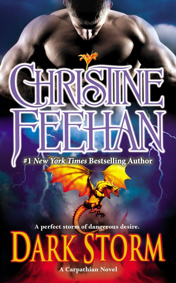 Dark Storm Book Cover