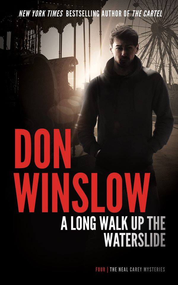 A Long Walk up the Water Slide Book Cover