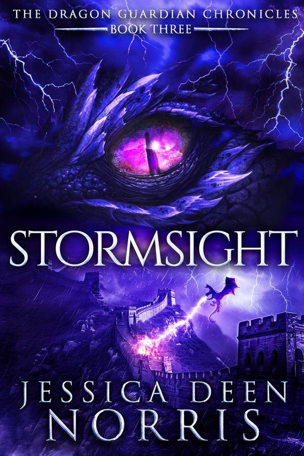 Stormsight cover
