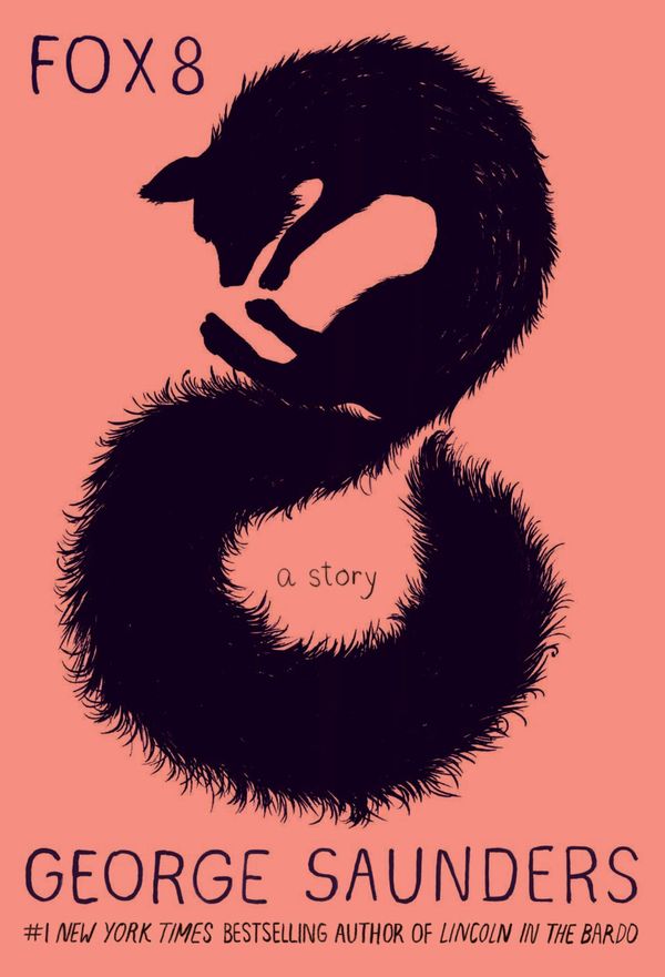 Fox 8 Book Cover