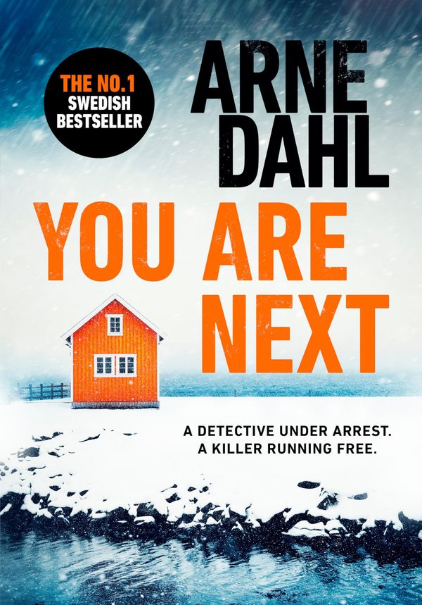 You Are Next Book Cover