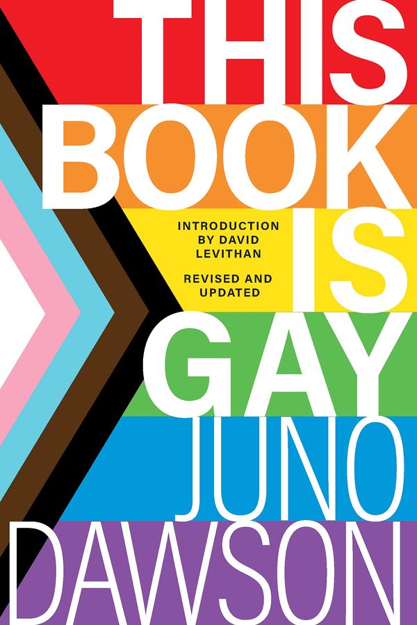 This Book Is Gay Book Cover