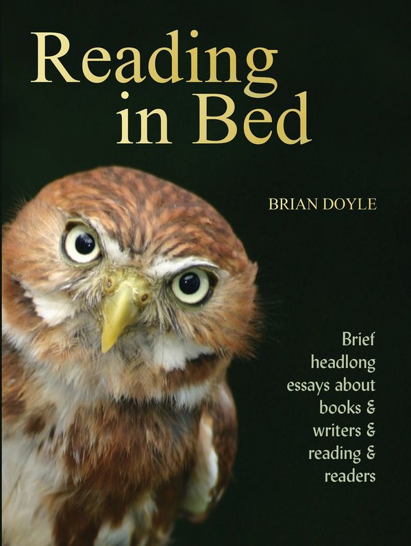 Reading In Bed Book Cover