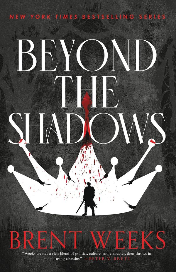 Beyond the Shadows cover