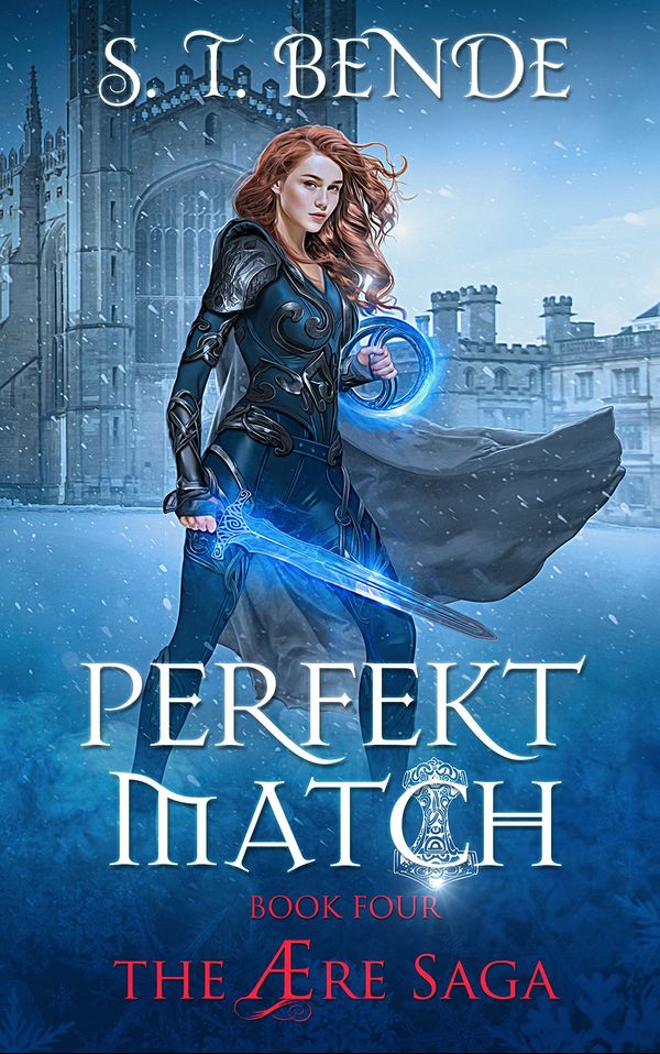 Perfekt Match Book Cover