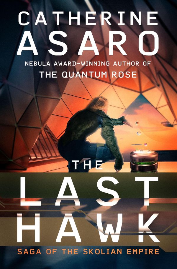 The Last Hawk Book Cover