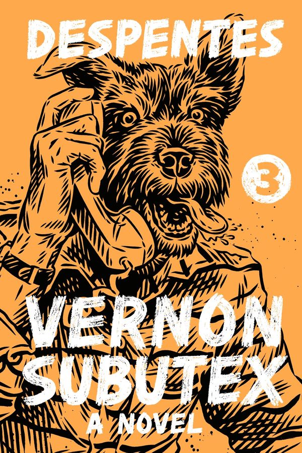 Vernon Subutex 3 cover