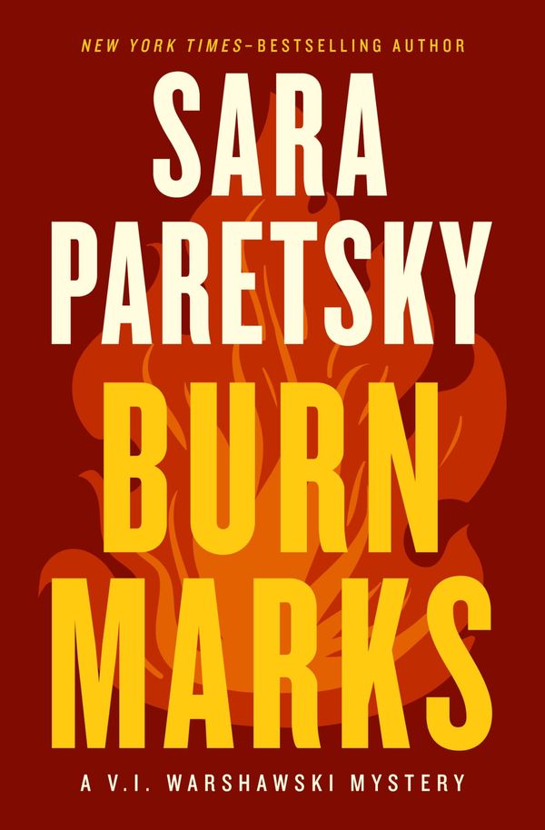 Burn Marks Book Cover