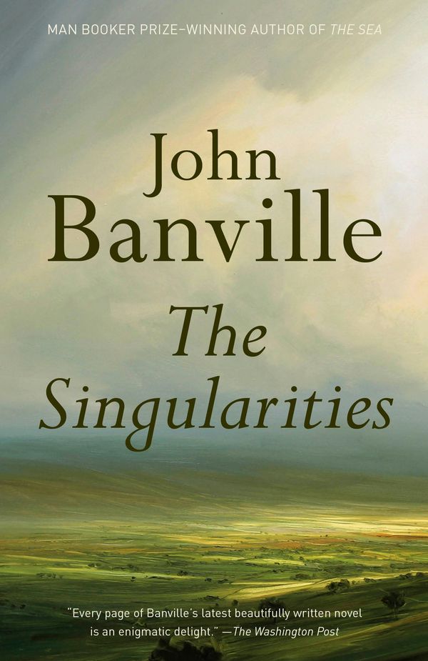 The Singularities Book Cover
