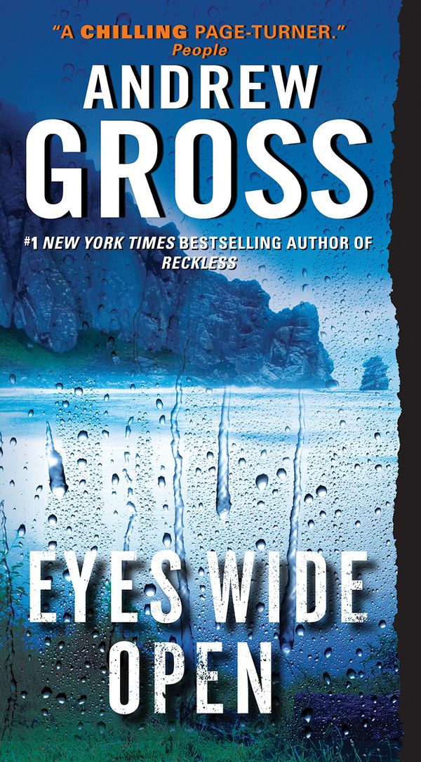 Eyes Wide Open: A Novel Book Cover