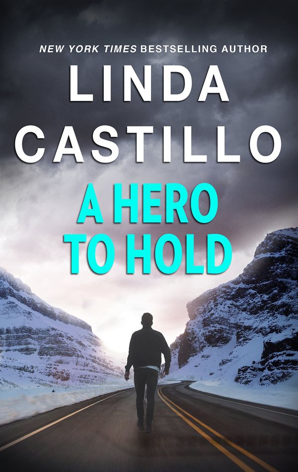 A Hero to Hold Book Cover