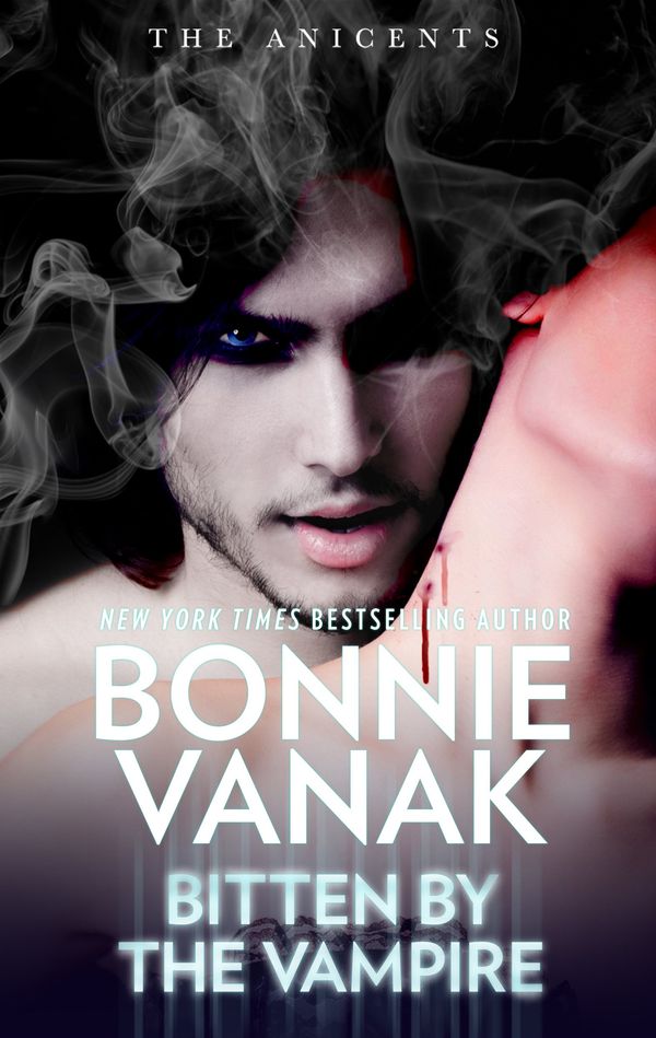 Bitten by the Vampire cover