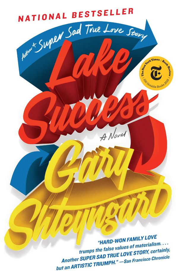 Lake Success Book Cover
