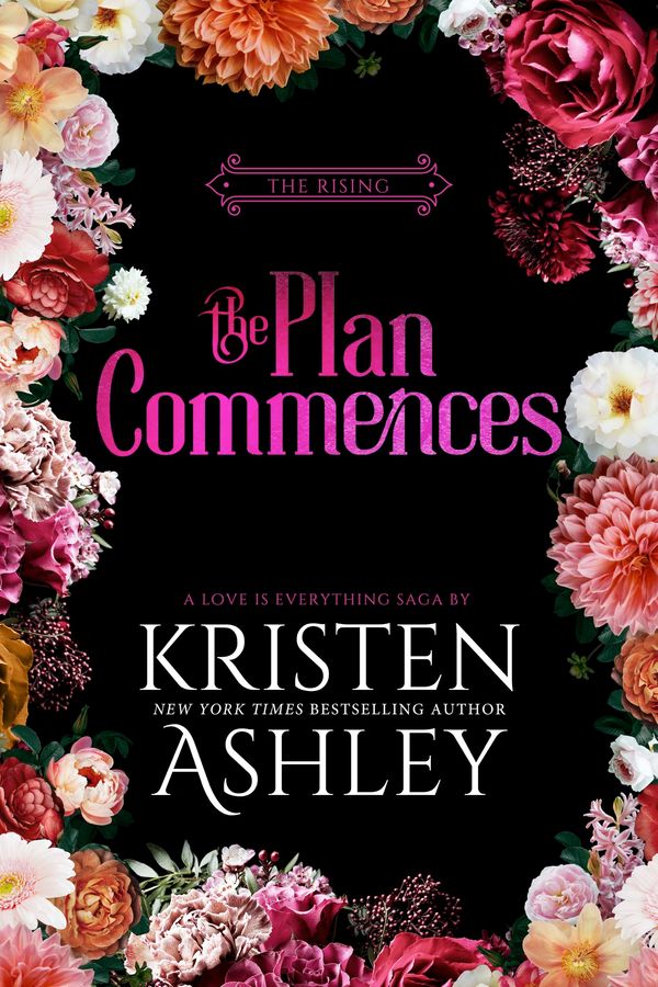 The Plan Commences Book Cover