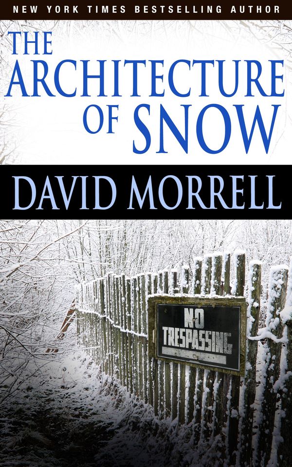 The Architecture of Snow Book Cover