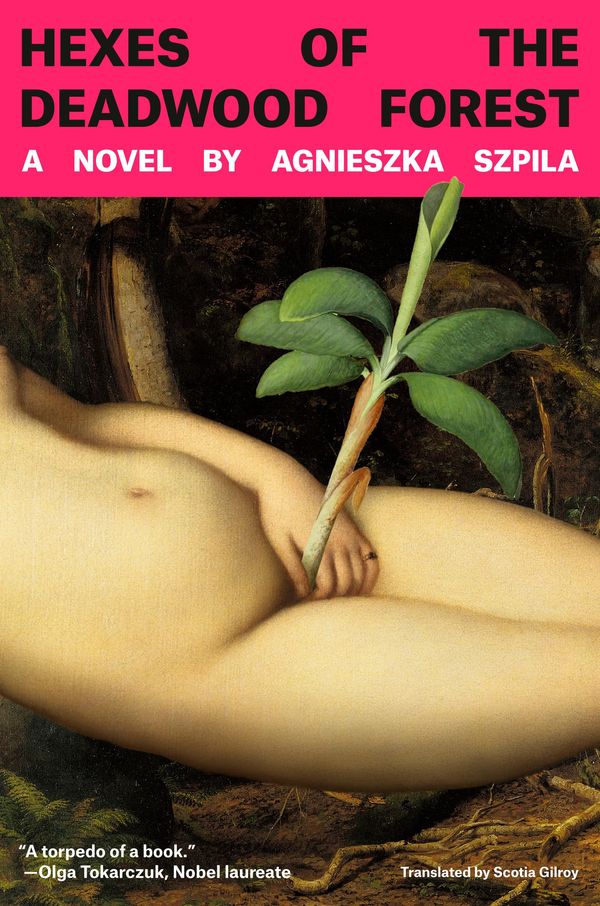 Hexes of the Deadwood Forest Book Cover
